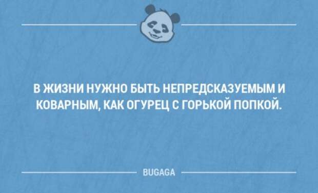 Прикольные фразы в картинках с надписями. Часть 80 (17 шт)