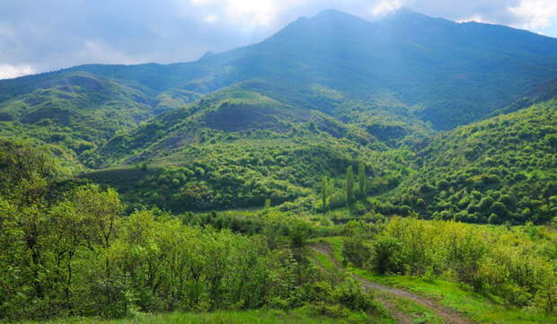Агармышский лес Агармышский лес