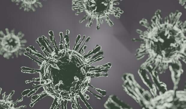 Число случаев внебольничной пневмонии в Карелии снова выросло