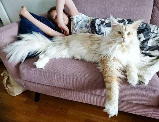 бедность