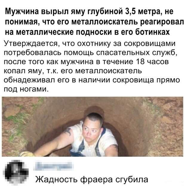 Перлы из социальных сетей на самые актуальные темы Перлы из социальных сетей на самые актуальные темы