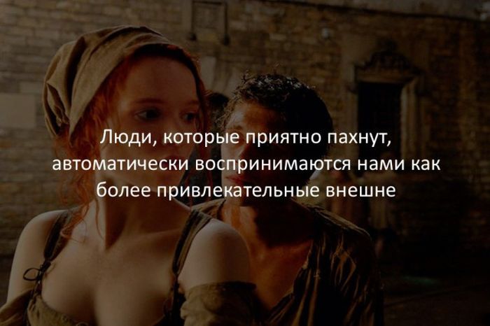 Интересные факты обо всем на свете