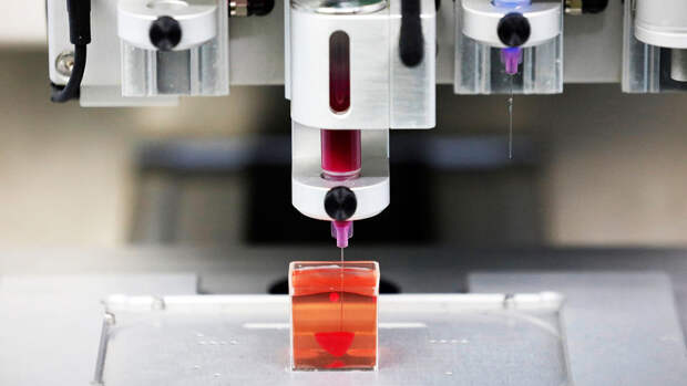 ACS CS: разработаны биочернила с растительными клетками для 3D-печати