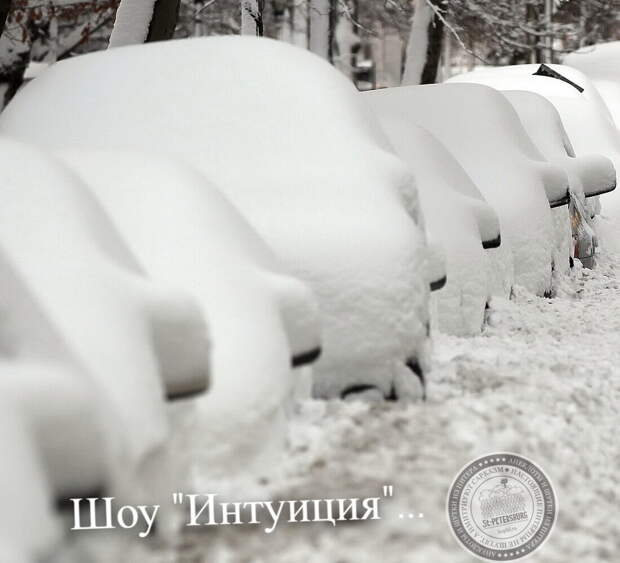 Шоу интуиция