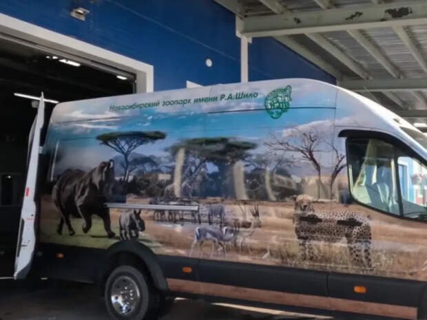 Животные из новосибирского зоопарка отправились в Индию