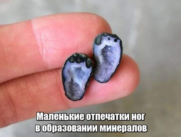 Мир никогда не прекратит удивлять нас Мир никогда не прекратит удивлять нас