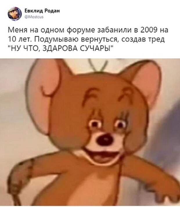 Смешные комментарии и высказывания из социальных сетей (25 скриншотов)