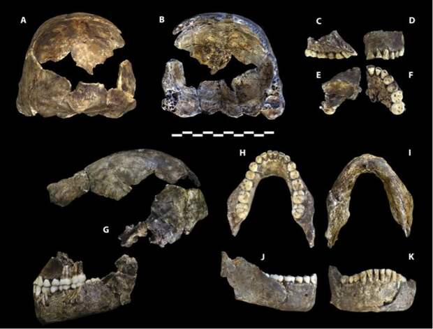 Загадочные Homo naledi - наши предки или двоюродные пращуры?