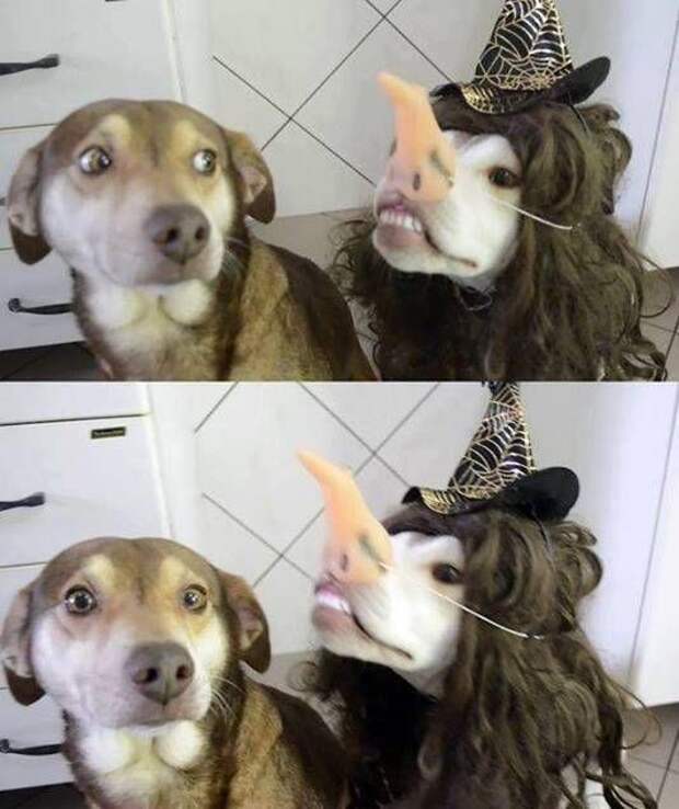 1467238245_10