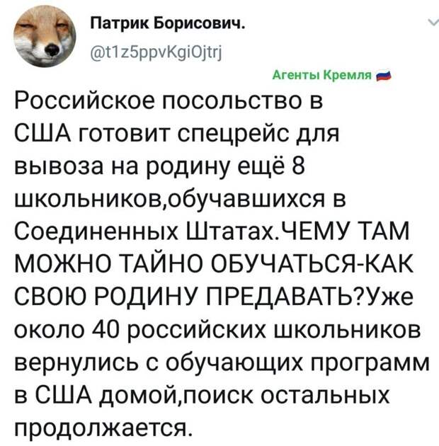 Политические комментарии из инета