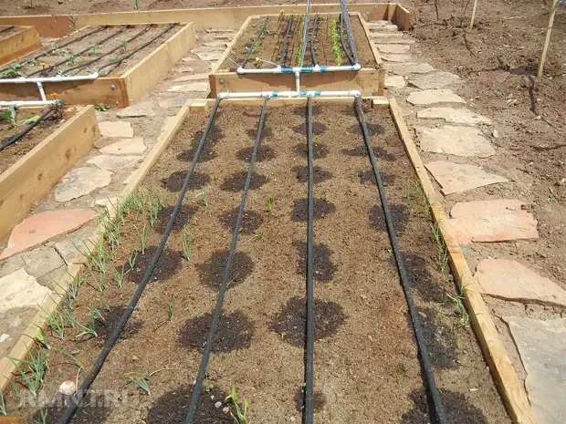 Как сделать сад и огород более продуктивными