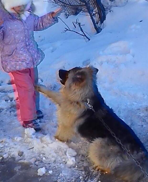Про друга Про друга