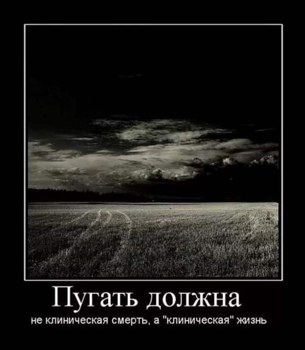 Прикольные демотиваторы с надписями. Подборка chert-poberi-dem-chert-poberi-dem-56130625062020-2 картинка chert-poberi-dem-56130625062020-2