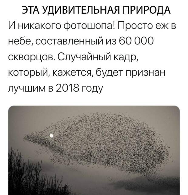 Подборка картинок (20 фото)