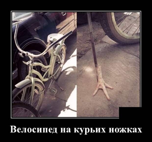 Демотиваторы (30 фото)