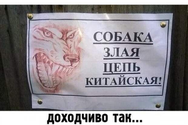 Новые фотомемы на Бугаге (23 шт)