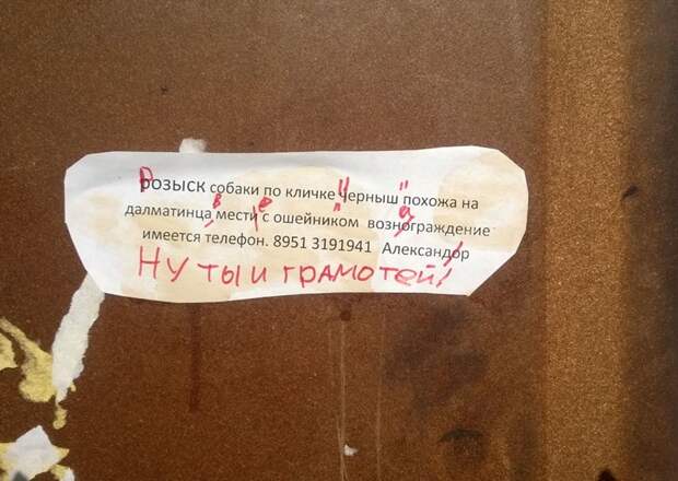 Вот почему нельзя прогуливать уроки русского языка в школе