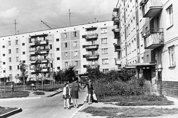 Еще в начале XX века были проведены ряд исследований, доказавших, что постройка домов возможна до отметки, которая не превышает высоту деревьев / Фото: aif.ru Еще в начале XX века были проведены ряд исследований, доказавших, что постройка домов возможна до отметки, которая не превышает высоту деревьев / Фото: aif.ru