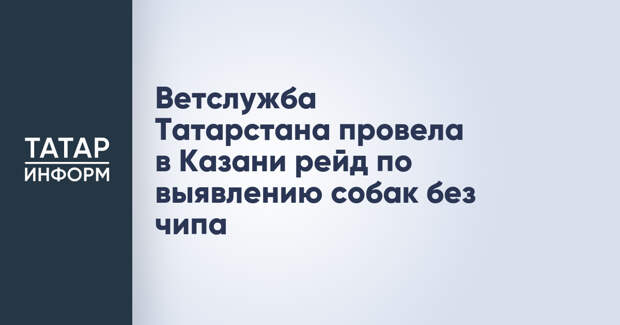Ветслужба Татарстана провела в Казани рейд по выявлению собак без чипа