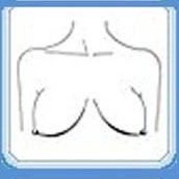 Характер женщины можно узнать по форме ее груди