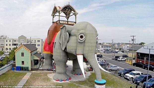 Дом-слон и другие здания в виде животных по всему миру животные, здание, мир