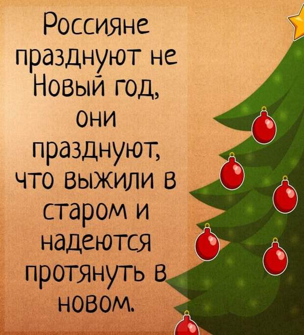 Новогодние анекдоты, которые отражают российскую действительность