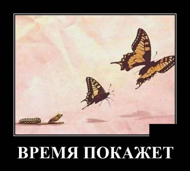 Демотиваторы (30 фото)