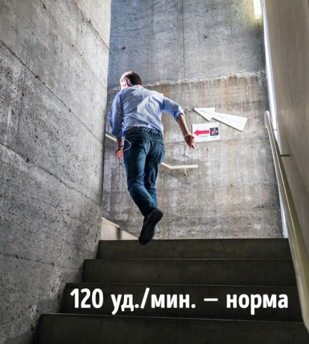 7 быстрых тестов, чтобы оценить здоровье вашего организма 7 быстрых тестов, чтобы оценить здоровье вашего организма