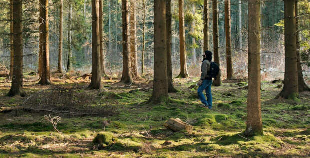 Малоизвестные факты о нашем мире, которые заставят задуматься