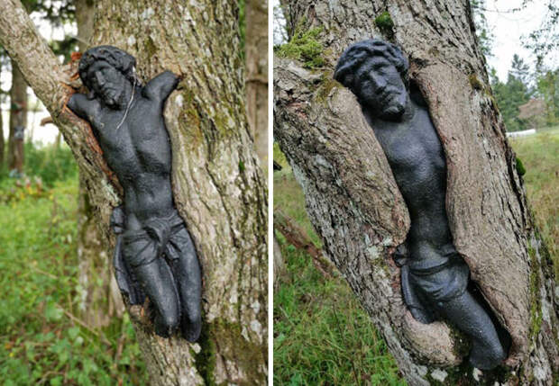 Скульптура Иисуса Христа на заброшенном кладбище в Польше медленно поглощается деревом.