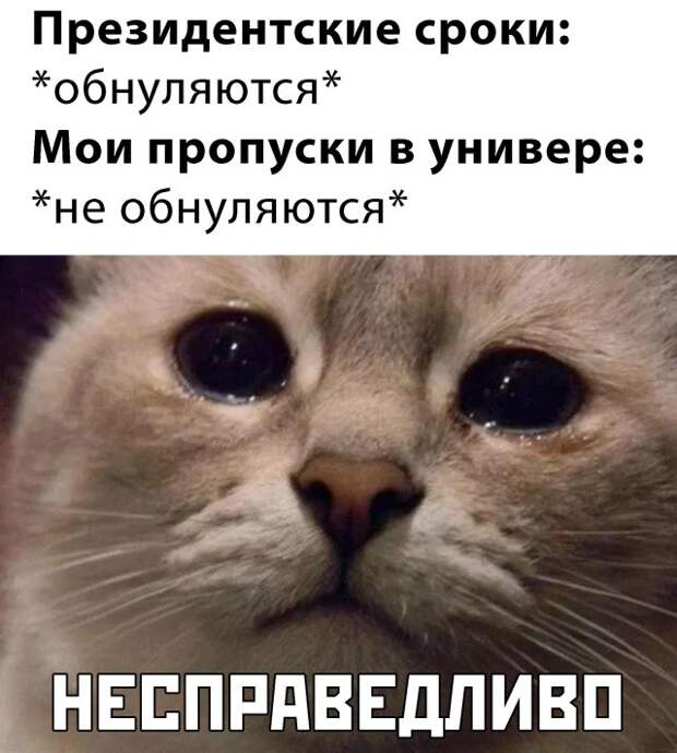 www.vsyako.net