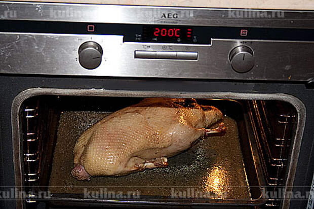 Снова поставить птицу в духовку и готовить до готовности, приблизительно еще 2 часа. 