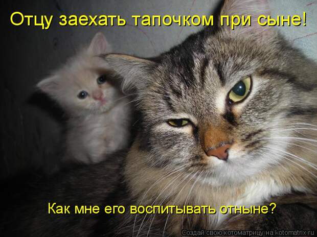 Котоматрица: Как мне его воспитывать отныне? Отцу заехать тапочком при сыне!