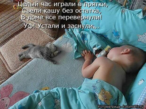 Новая котоматрица для всех (34 фото)
