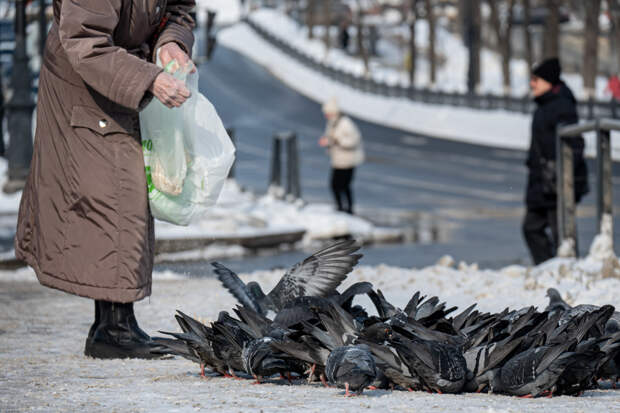 Россиян призвали не кидать объедки