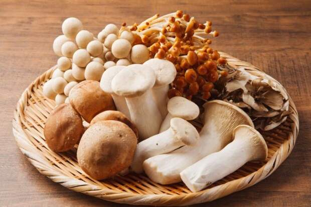 Съедобные грибы: названия, фото и описания