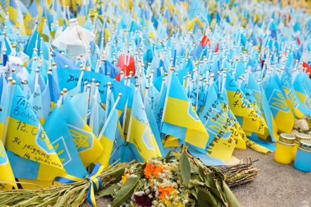 ВСУ потеряли 300 человек в семи атаках