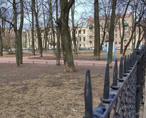 Санкт петербург просушка парков. Комитет по благоустройству Санкт-Петербурга. Питерские сады 18 тогда и сейчас.
