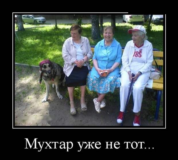 Позитивные демотиваторы на четверг (11 фото) Позитивные демотиваторы на четверг (11 фото)