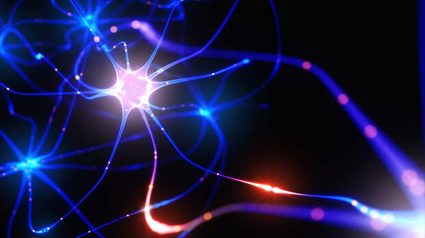 Найден новый способ вернуть парализованным возможность ходить