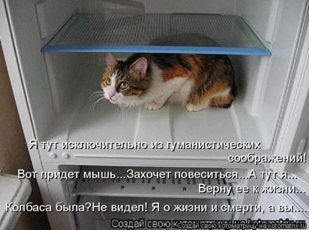 Мысли вслух :)