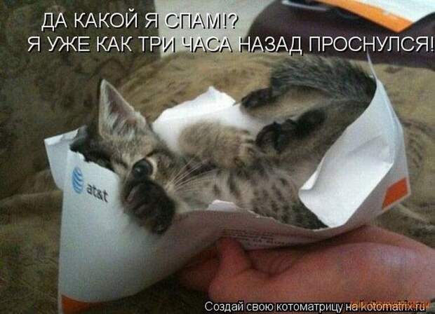 Уфф!!! Ну наконец-то! Котоматрицы великолепные, каждая с улыбкой и хорошим настроением!