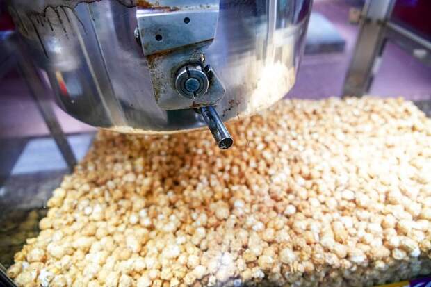 ФСИН объяснила закупку мордовской колонией аппаратов для приготовления попкорна