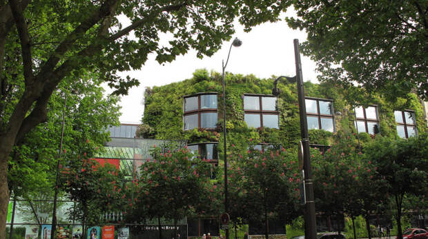 Утопающие в зелени: здания и сооружения, которые полностью слились с природой Зелены, здания, эстетика