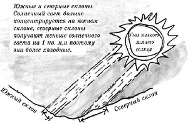 Участок, на котором вы строите
