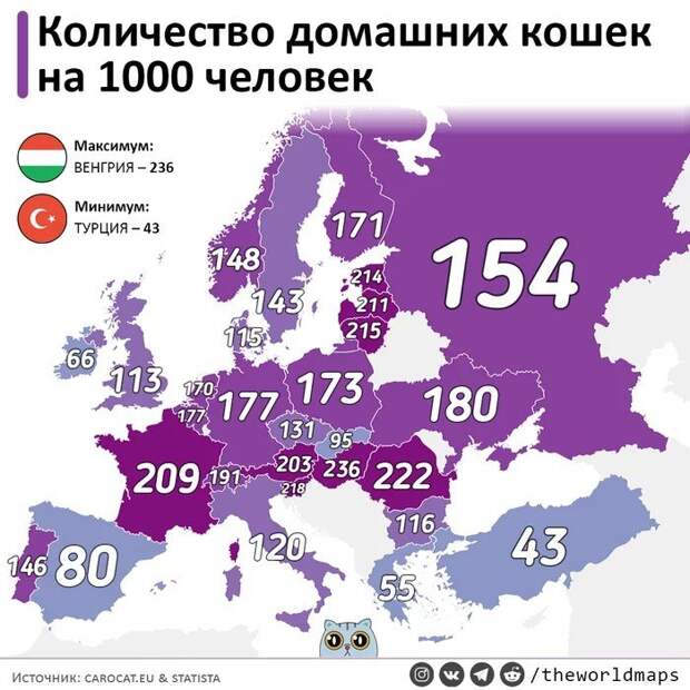 Занимательные карты мира и интересные факты