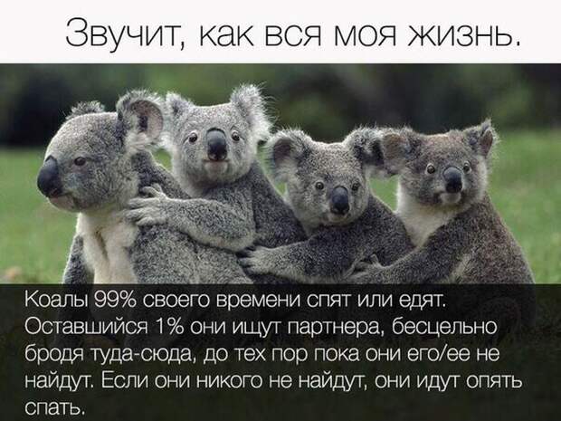 Прикольные картинки. Дневной выпуск (50 фото)
