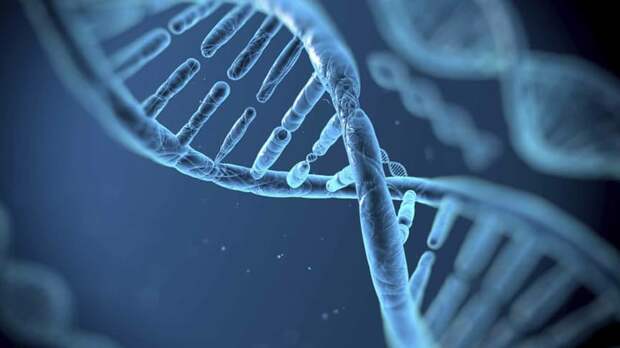 1. Мутация гена, благодаря которой появились все мы  2016, наука, открытие