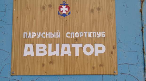 Самые смешные картинки за пять лет: 2021–2026 годы