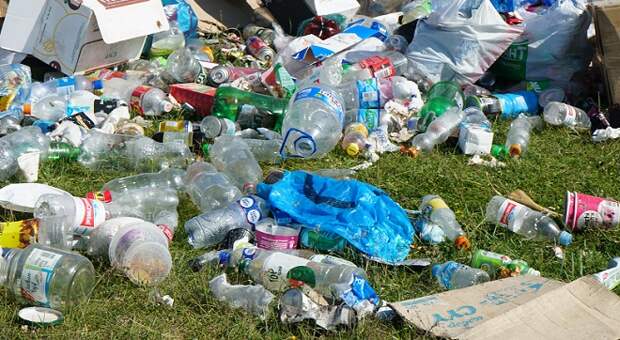 Свалка в станице Полтавской: прокуратура проверит сообщения о росте случаев онкологии